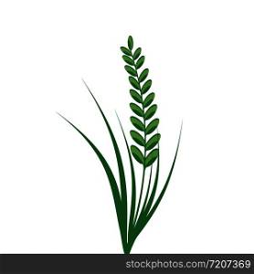 Rice spikelet icon on white background. Vector eps10