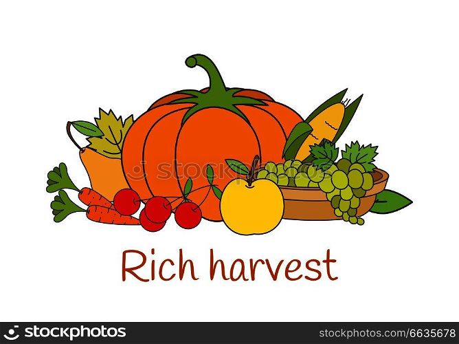 Rich autumn harvest concept. Group of ripe vegetables and fruits flat vector isolated on white background. Raw natural vegetarian products illustration for harvest festival, organic farm, grocery ad