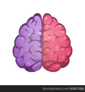 Right And Left Brain Symbolic Image . Human brain two different colored symbolic left and right cerebral hemispheres model image icon abstract vector illustration