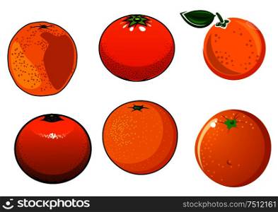 Ripe and juicy orange fruits with glossy skin isolated on white background, for healthy food or agriculture theme. isolated ripe and juicy orange fruits