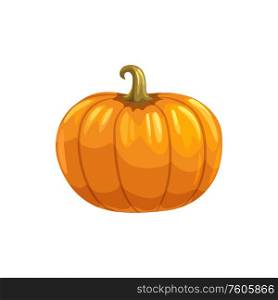 Ripe autumn pumpkin isolated organic vegetable. Vector vegetarian food, Halloween symbol. Orange fresh pumpkin with stem isolated vegetable