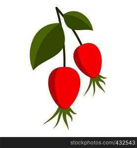 Ripe berries of a dogrose icon flat isolated on white background vector illustration. Ripe berries of a dogrose icon isolated