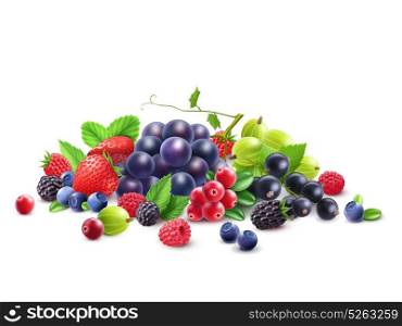 Ripe Berries Template. Ripe Berries Template with grape gooseberry strawberry blackberry cranberry bilberry black currant raspberry isolated vector illustration