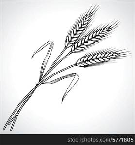 Ripe black wheat ears isolated, vector illustration.