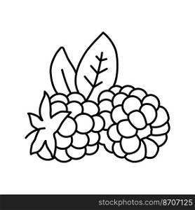 ripe blackberry leaf line icon vector. ripe blackberry leaf sign. isolated contour symbol black illustration. ripe blackberry leaf line icon vector illustration