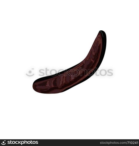 Ripe carob sweet pods whole and halved, seeds and carob powder on the white background. vector illustration. for food decoration, bakery, organic healthy food, caffeine free, locust bean gum, gelling. Ripe carob sweet pods whole and halved, seeds and carob powder on the white background. vector illustration.