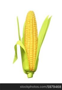 Ripe corn ear, vector illustration