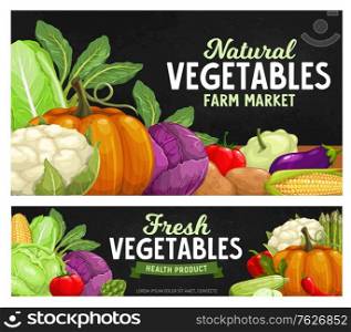 Ripe farm vegetables chalkboard, food harvest greenery products, vector veggies. Organic farm vegetables cauliflower cabbage, asparagus, corn, pumpkin and pepper, mushroom and tomato. Ripe farm vegetables chalkboard, food harvest