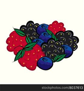 Ripe forest berries raspberries blueberries blackberries. Juicy delicious dessert tea.. Ripe forest berries raspberries blueberries blackberries.