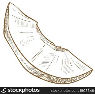 Ripe fruit slice, isolated icon of colorless peach, nectarine or big apricot. Delicious and tasty ingredient for dessert. Healthy lifestyle, eating and nutrition. Monochrome sketch outline, vector. Slice of apricot, nectarine or ripe peach fruit