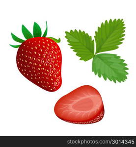 Ripe juicy Strawberry with leaf isolated on white. Whole and slice. Ripe juicy Strawberry isolated on white. Whole, slice and leaf. Close up. vector illustration. for food design, cooking, cosmetics, perfume, ointment. health care, ointments perfumery label tag