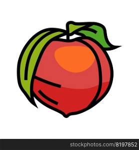 ripe peach leaf color icon vector. ripe peach leaf sign. isolated symbol illustration. ripe peach leaf color icon vector illustration