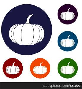 Ripe pumpkin icons set in flat circle reb, blue and green color for web. Ripe pumpkin icons set