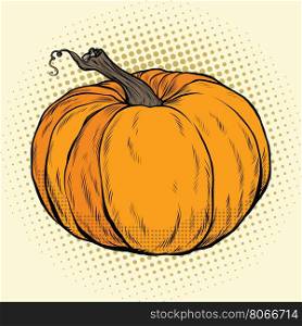 Ripe pumpkin, Thanksgiving or Halloween. pop art retro vector illustration. Autumn harvest