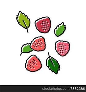 ripe raspberry berries color icon vector. ripe raspberry berries sign. isolated symbol illustration. ripe raspberry berries color icon vector illustration