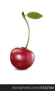 Ripe red cherry berrie with leave. Vector