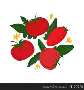 Ripe red tomatos and leaves on a white background. Hand draw vegetable print. Vector illustration.. Ripe red tomatos and leaves on a white background.