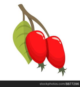 Ripe rosehip icon cartoon vector. Berry food. Organic vitamin. Ripe rosehip icon cartoon vector. Berry food