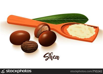 Ripe shea nuts and leaf. shi tree pods whole and cracked. Vitellaria paradoxa. Card template copy space. Oilplant for cooking, cosmetics, aromatherapy, perfume, food, healthcare, ointments, oil prints. Ripe shea nuts and leaf. shi tree pods whole and cracked. Vitellaria paradoxa. Card template copy space.