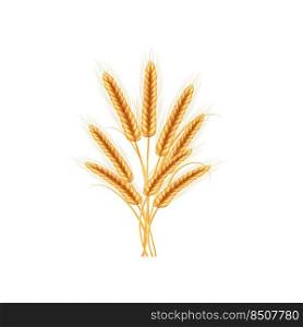 Ripe spikelets of wheat with grains,ears and stalks.Realistic illustration of seed plants,organic farming farming.Healthy lifestyle element.