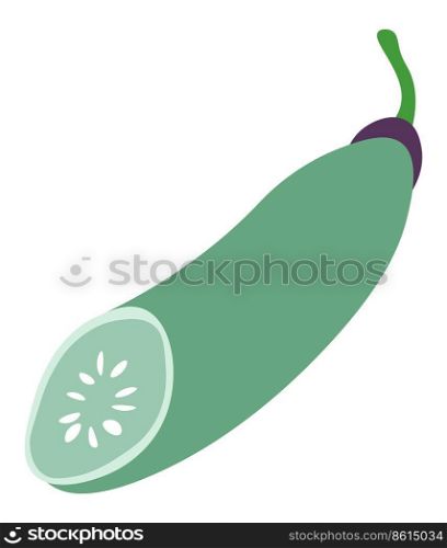 Ripe squash veggie for cooking and preparing meal, isolated raw vegetable, zucchini. Healthy and balanced dieting and nutrition, organic ingredient for vegan and vegetarian menu. Vector in flat. Zucchini vegetable, ripe squash veggie vector