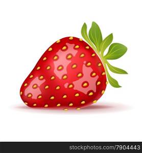 Ripe strawberry isolated on white. Vector illustration. EPS10 opacity
