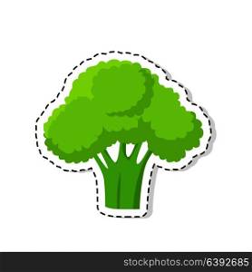 Ripe vegetable sticker or icon. Green broccoli flat vector isolated on white background. Vegetarian food illustration outlined with dotted line. Ripe Broccoli Flat Vector Isolated Sticker or Icon