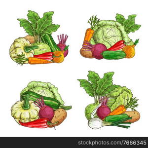 Ripe vegetables and greenery food sketch. Farming agriculture harvest. Pattypan squash, kohlrabi and zucchini, onion, carrot and beetroot, pepper, potato and cucumber, leek, Chinese cabbage vector. Ripe vegetable, greenery food sketch vector banner