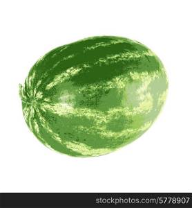 Ripe watermelon isolated on white background. Vector illustration.