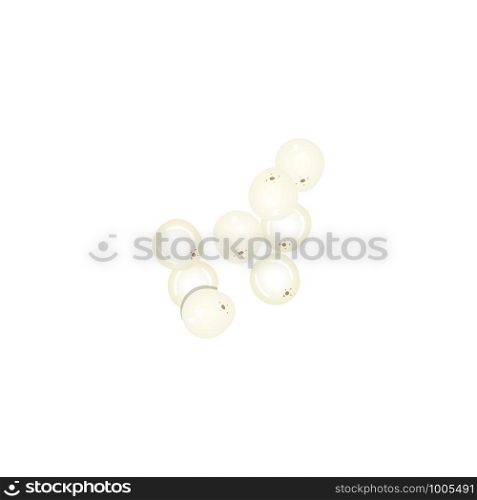 Ripe white current berries. Vector illustration. For food, medicine drinks cosmetology syrups tea culinary. Ripe white current berries. Vector illustration. For food, medicine drinks