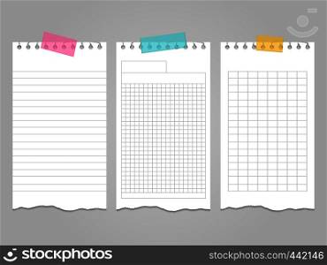 Ripped lined notebook pages templates for notes or memo. Vector illustration. Ripped lined notebook pages templates for notes or memo