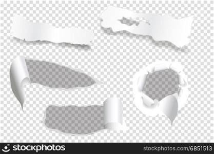 ripped of paper on a transparent background, vector and illustration