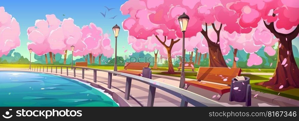 Riverside park with sakura trees blooming along promenade. Vector cartoon illustration of sunny day in spring public garden, cherry blossom with pink flowers, petals in air, empty benches near water. Riverside park with sakura trees along promenade