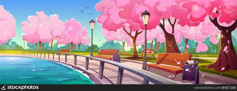 Riverside park with sakura trees blooming along promenade. Vector cartoon illustration of sunny day in spring public garden, cherry blossom with pink flowers, petals in air, empty benches near water. Riverside park with sakura trees along promenade