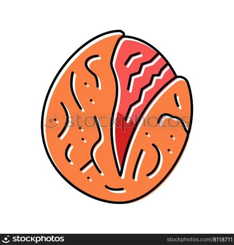 roasted tomatoes color icon vector. roasted tomatoes sign. isolated symbol illustration. roasted tomatoes color icon vector illustration
