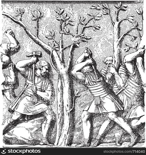 Roman soldiers shooting down a tree, vintage engraved illustration.