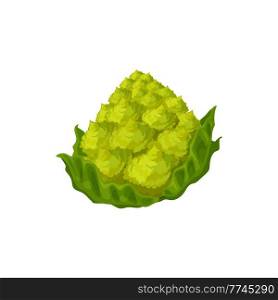 Romanesco cabbage head isolated green vegetable raw food isolated icon. Vector cauliflower cabbage, healthy organic vegetable, green veggie with leaves. Headed raw vegetarian food, whole romanesque. Green romanesco cabbage cauliflower head isolated