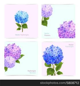 Romantic hydrangea paper cards set with blossoming flowers isolated vector illustration. Hydrangea Cards Set