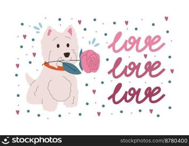 Romantic≤ttering, dog with rose in teeth