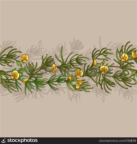 rooibos seamless pattern. rooibos branches seamless pattern on color background