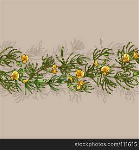 rooibos seamless pattern. rooibos branches seamless pattern on color background