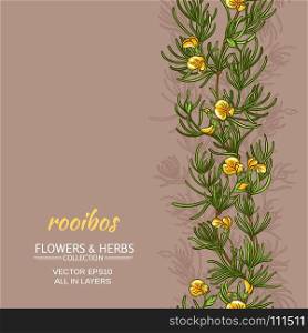 rooibos vector background. rooibos plant vector pattern on color background