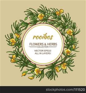 rooibos vector frame. rooibos branches vector frame on color background