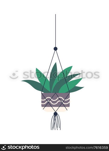Room plant isolated, houseplant vector. Pot decorated with ornaments hanging on hook holding with help of thread and fishnet. Decor for home decoration. House Plant Placed Hanging Pot, Flowerpot Isolated