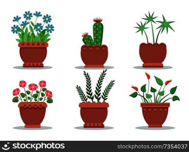 Room plants in pots collection with blossom and leaves, set of house herbs brown vases types vector illustration, isolated on white background. Room Plants in Pots Collection Vector Illustration