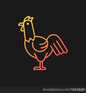 Rooster gradient vector icon for dark theme. Cocks husbandry. Commercial chicken raising. Growing livestock industry. Thin line color symbol. Modern style pictogram. Vector isolated outline drawing. Rooster gradient vector icon for dark theme