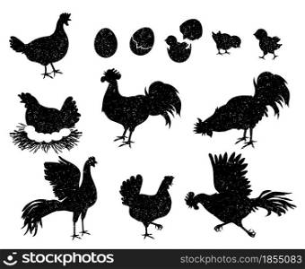 Rooster, hen and chicken silhouettes for vintage logo and labels. Poultry icons for meat and egg products. Domestic birds family vector set. Growing baby hatched from eggshell, nest with eggs