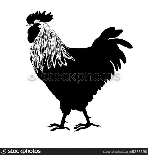 Rooster silhouette based on an original hand drawn illustration, object isolated on white