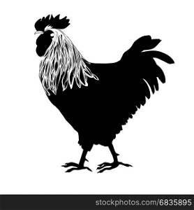 Rooster silhouette based on an original hand drawn illustration, object isolated on white