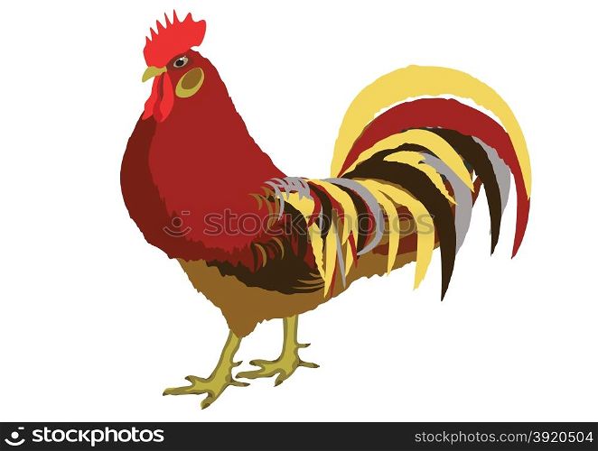 Rooster with bright feathers on the tail and a red crest